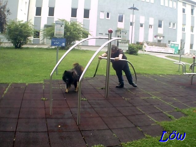 22.8.2025 - Muskelspiel